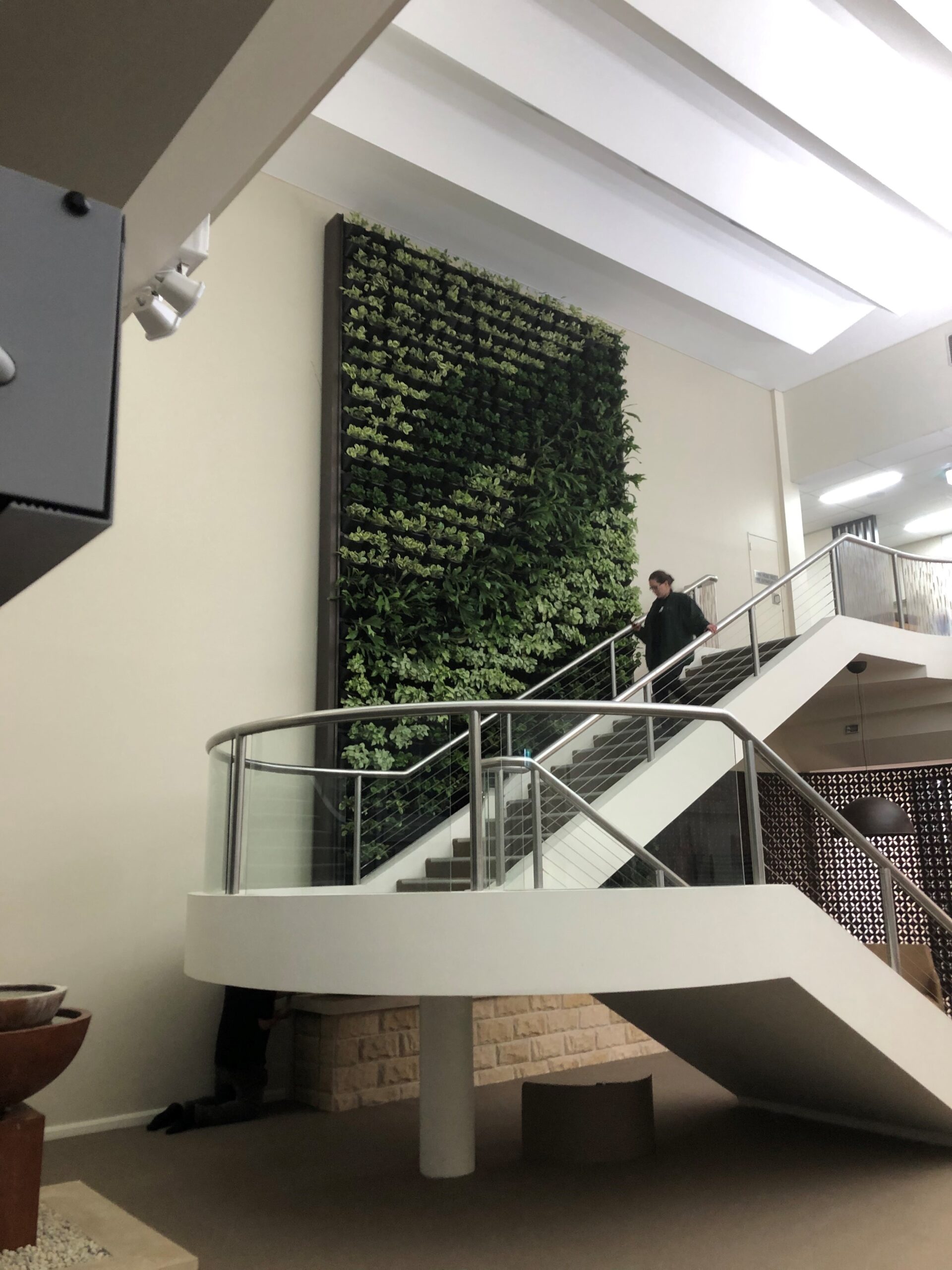 This spider lift can be manoeuvred over obstacles, such as this staircase, to enable plant technicians to access hard-to-reach plants (Images: Tropical Plant Rentals)