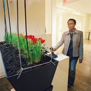 Timed Lapse. 2005, invited the audience to photograph themselves through the growing plants