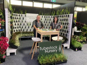 A simple yet elegant display from Tubestock Nursery (Image: Karen Smith)