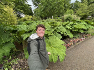 Gunnera manicata putting on a show at Wisley (Image: Ash Walker)
