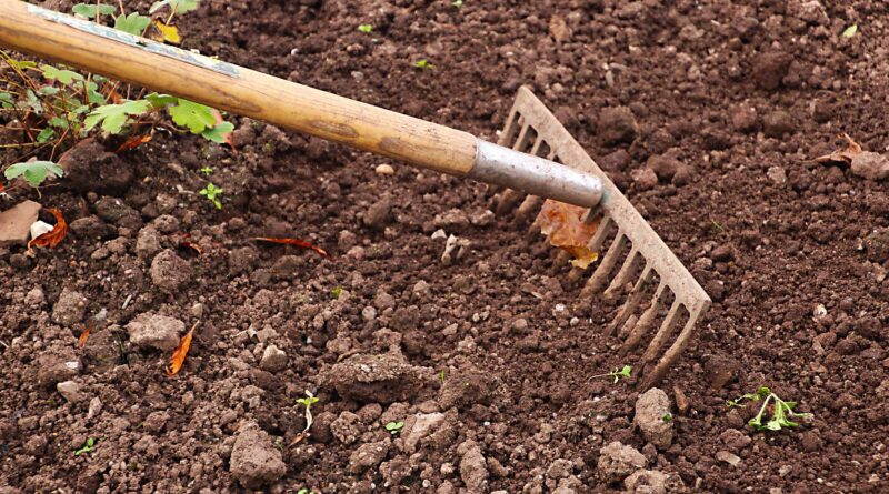 A healthy soil will greatly reduce the need for fertiliser. (Image: Pixabay Dean Moriarty)