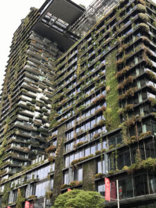 Careful planning and plant selection has worked at One Central Park (Image: Michael Casey)