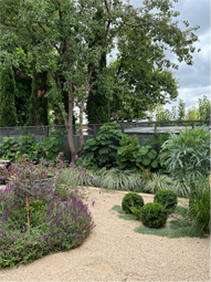 Award of Excellence - Prestigious Gardens Clifton Street Project, Malvern SA (Image: Prestigious Gardens)