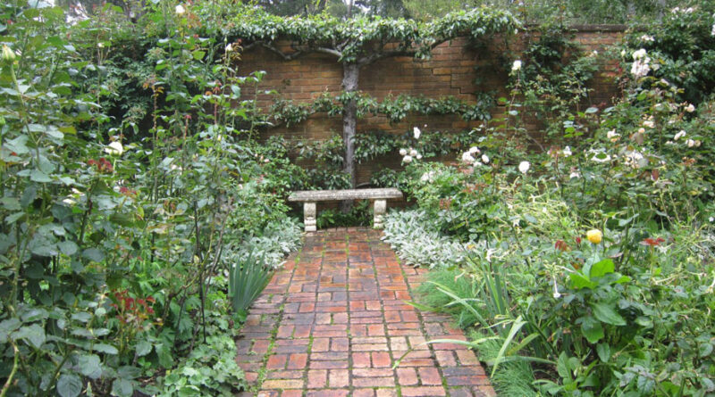 Espalier can screen out less desirable backgrounds, create new vistas and ‘rooms’ in the landscape (Image: Merrywood Plants)