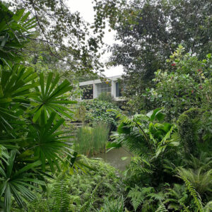 The gardens of Enabling Village are accessible to the centre’s users and to residents from the surrounding neighbourhood (Image: Gabrielle Stannus)
