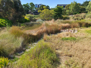 ABG wetland 2023