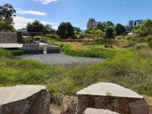 ABG wetland 2023