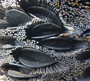 Banksia detail (Image: Deborah Redwood)