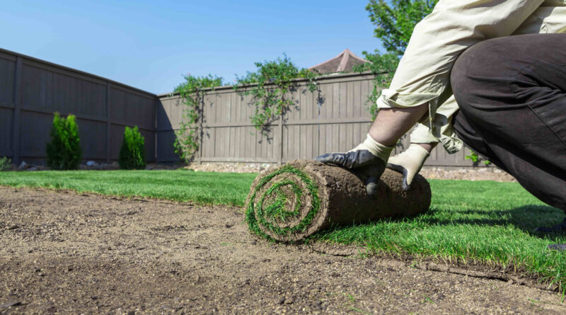 Laying real turf