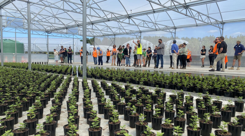 Westland Nurseries Open Day at Seven Mile Beach, Tasmania (Image: IPPS)