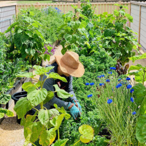 Create a place that can be enjoyed for years to come.
