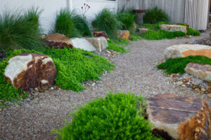 Landscape architects can create beautiful, biodiverse, and resilient landscapes for living.
