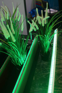 Innovative new product from Edglit combines durable powder coated garden edging with programmable LED lighting (Image: John Fitzsimmons)