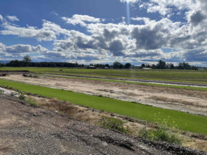 Hawkesbury Farm recovering (Image: Matthew Lunn)