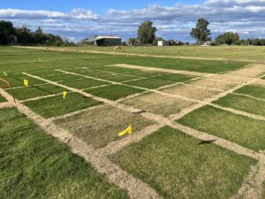 Trial Plots (Image: Matthew Lunn)