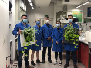 The research team from UTS (Image: Ambius)