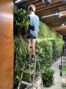 Sound plant knowledge allows for correct plant selection that will grow well in spaces such as green walls (Image: Michael Casey)
