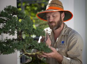 Senior Gardener Perry Naumann in the Bonsai House