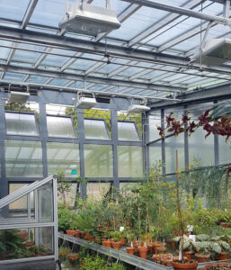 Much research and experience goes into determining the optimum growing requirements of different plant species