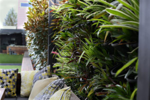 Communities love the introduction of nature spaces (Image: Michael Casey)