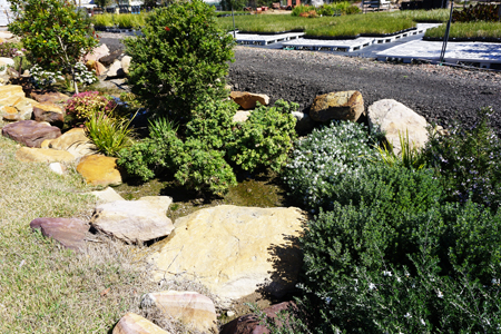 Bio-retention swale testing, Area 2, after three years