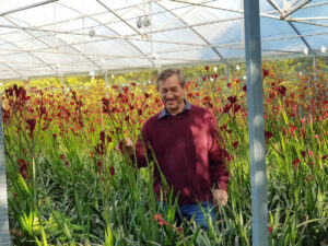 Angus Stewart with Anigozanthos ‘Bush Fury’ (Image supplied by Angus Stewart)
