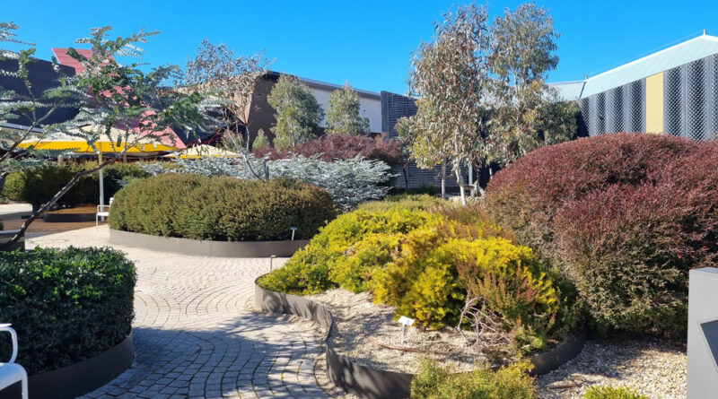Shapes and colours in mass planting cannot be overlooked (Image: Patrick Regnault)