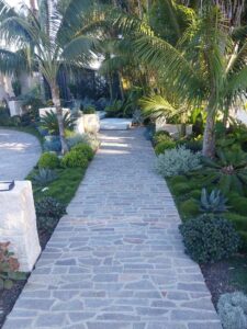 Using existing mature plants to your benefit (Image: Rich Earth)