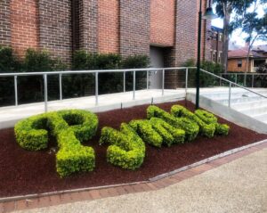 Clipped buxus announces the school’s name to visitors