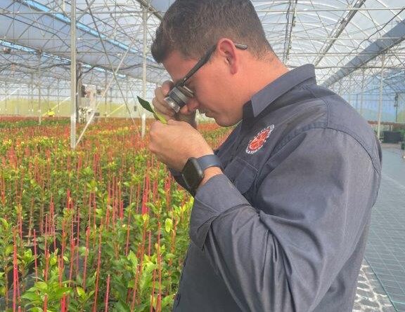 Mitch at Eyles Nursery performing crop monitoring (Image taken by Emma De Landre of GIA)
