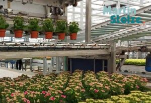 Robotic loading of Martin Stolze Sorting System