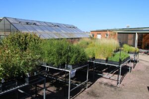 Worn Gundidj nursery (Image: Nic Eichner)