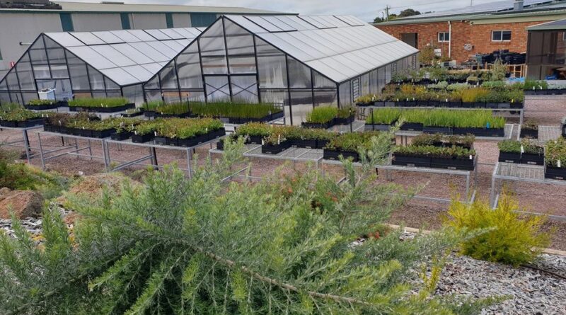 Glasshouses at Worn Gundidj (Image: Worn Gundidj)