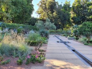 Planting for Stage 1 (Image: Leonie Scriven)