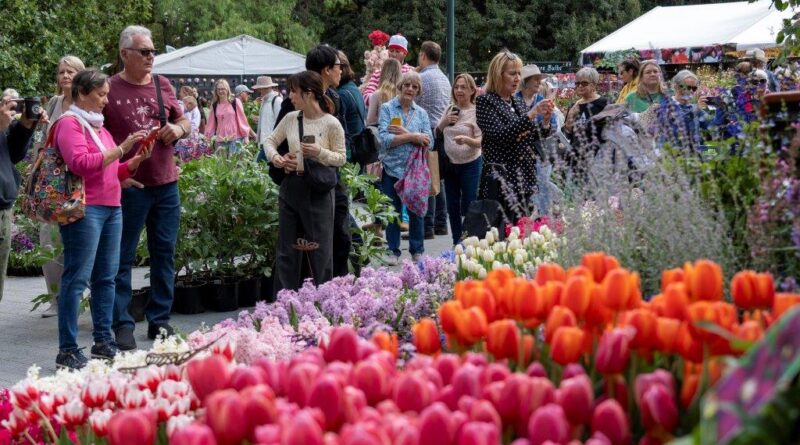 An abundance of plants to admire, photograph and purchase (Image: MIFGS)