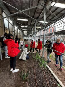 New York University Urban Farm lab is a hands-on learning environment for students to learn how to grow food from seed to harvest (Image: Michael Casey)