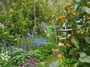 Designer and show garden expert Philip Wither created this ‘Food Forest’ at a garden show in 2015 (Image: Karen Smith)