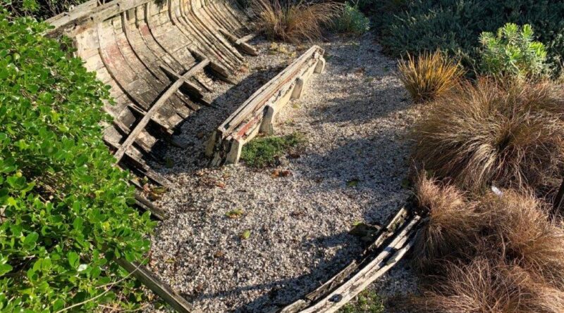 Replicating a habitat - the coastal garden (Image: Barbara Wheeler)