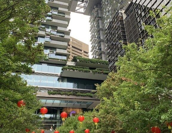 One Central Park in Sydney offers a clean, healthy, and welcoming space for the community (Image: Karen Smith)
