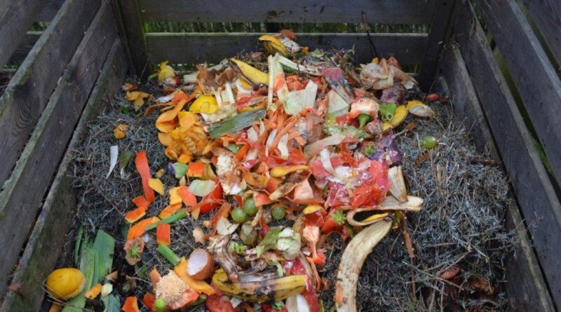 Backyard compost bin (Image: Ben Kerckx, Pixabay)