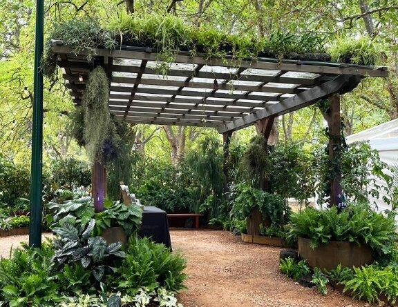Adding in greenery to a conventional pergola adds another level of shade coverage (Image: Michael Casey)