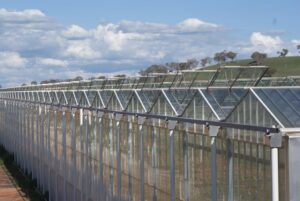 CEA (Controlled Environment Agriculture) meets many contemporary needs and environmental demands