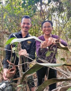 Alastair Robinson and Alviana Damit with Nepenthes pongoides (Image: Adillah Yusof)