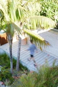 Plantings throughout the garden focused on the owners’ request for privacy screening (images supplied by the Landscape Association)