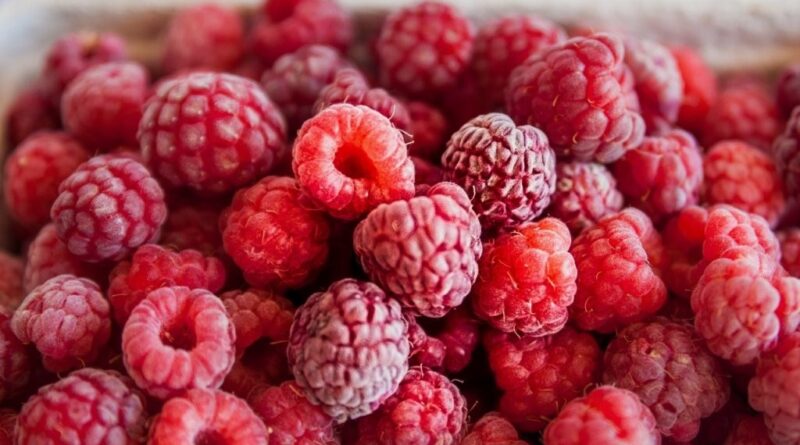 Rasberry (Image: Walter Bichler/Pixabay)