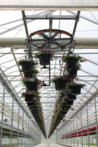 Cable-type basket suspension systems claim more light gets through to plants at ground or lower levels (Image Cherry Creek Systems)