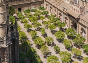 ‘Patio de los Naranjos’, the famous orange tree courtyard in Seville, Spain, whose oranges are not so edible! (Image: Jebulon via Wikimedia Commons, CC0 1.0)