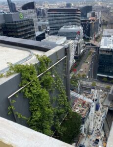 Façade plantings, like this example in Melbourne, offer green protection against the face of the building. Correct plant choice and suitable irrigation provide a green buffer to lessen the risk of fire (images supplied by Michael Casey)